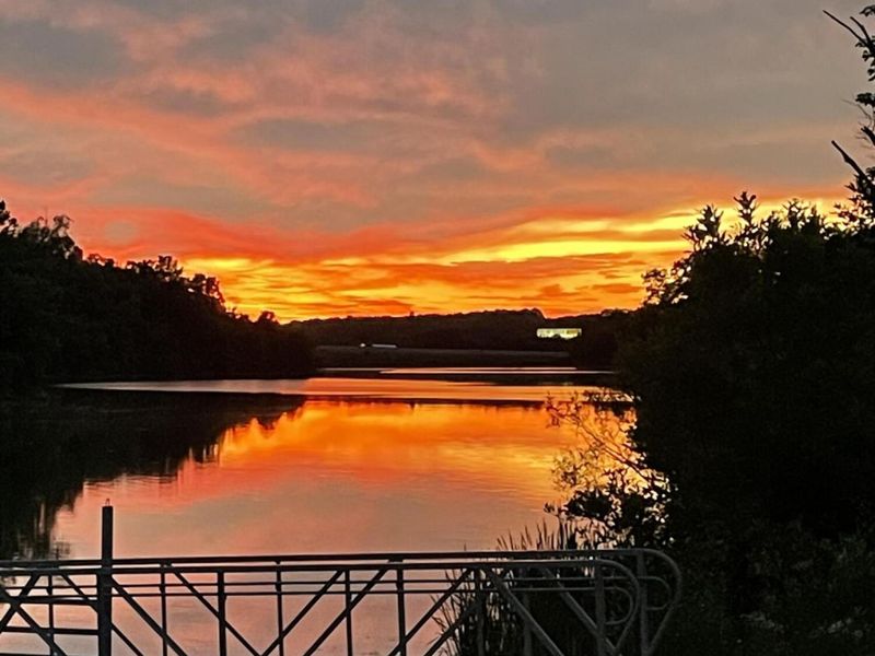 00 Corinth Shore Drive, Corinth, KY 41010 Photo 6
