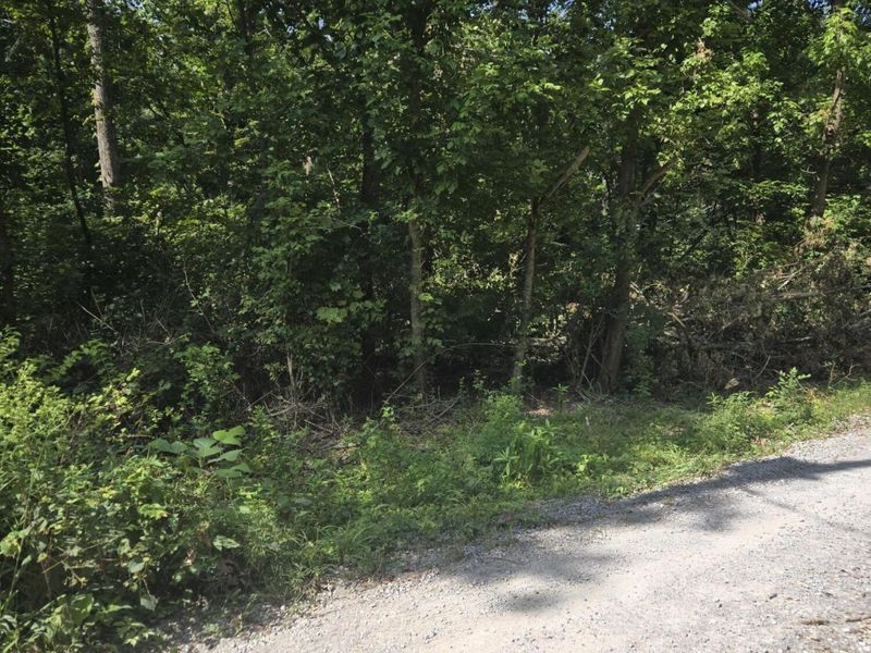 00 Corinth Shore Drive, Corinth, KY 41010 Photo 9