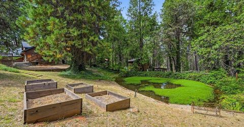 13216 Dogwood Ln, Grass Valley, CA 95945 Photo