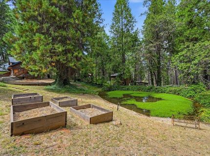 13216 Dogwood Ln, Grass Valley, CA 95945 Photo