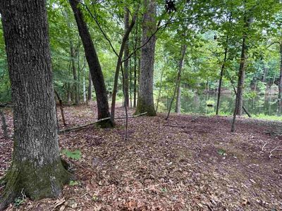 0 Pinewood Drive , Chapin, SC 29036