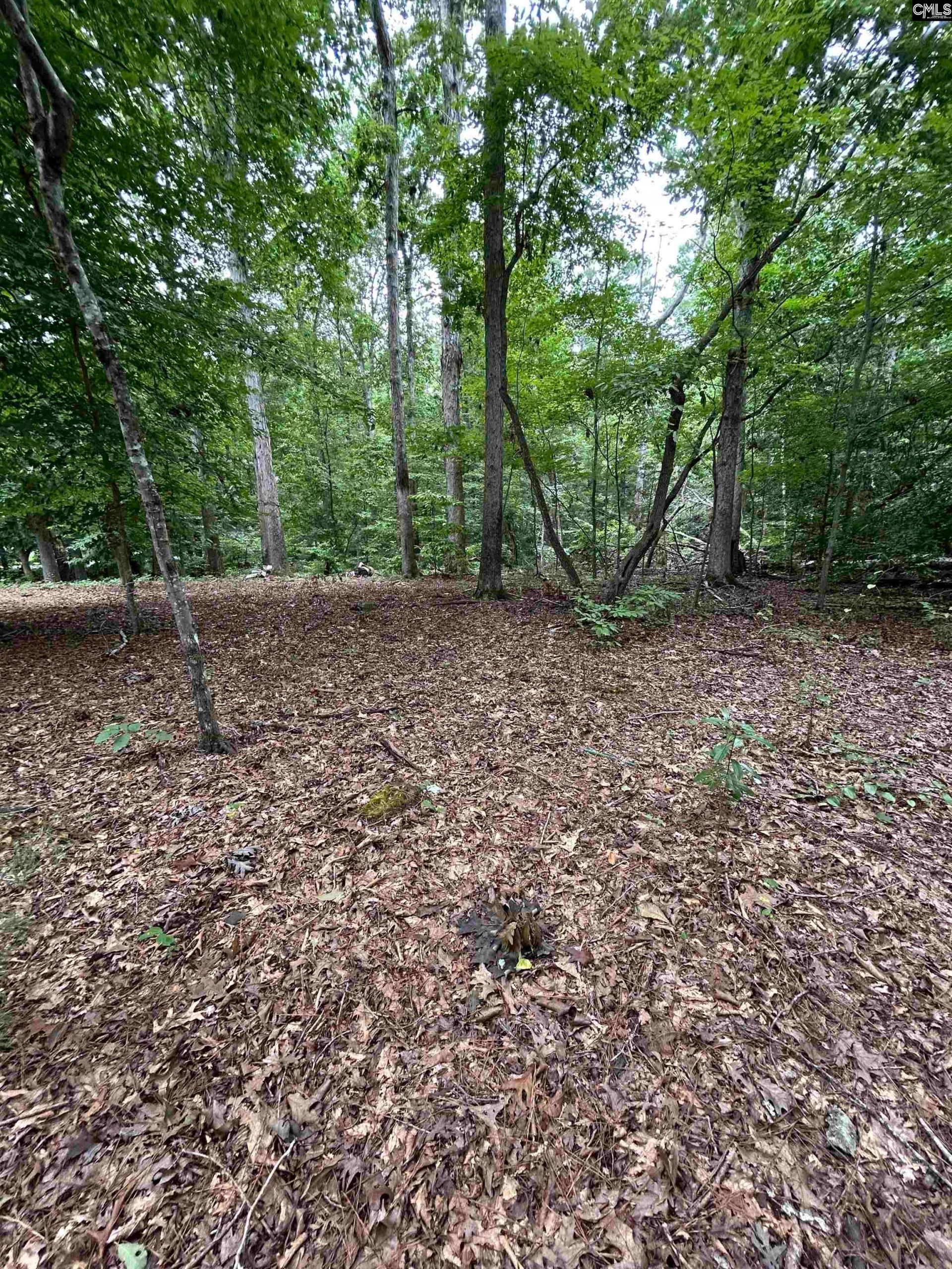 0 Pinewood Drive  Photo 4
