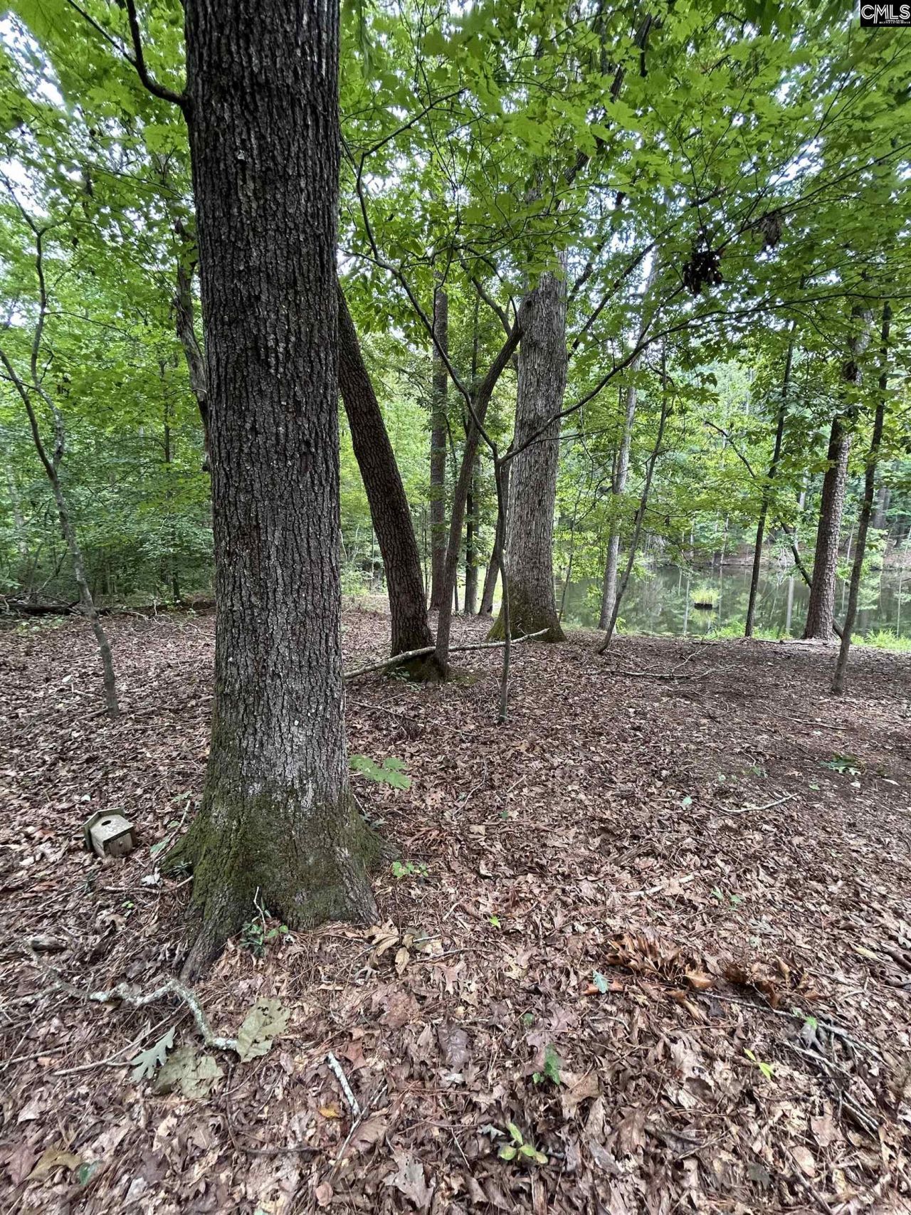 0 Pinewood Drive  Photo 5
