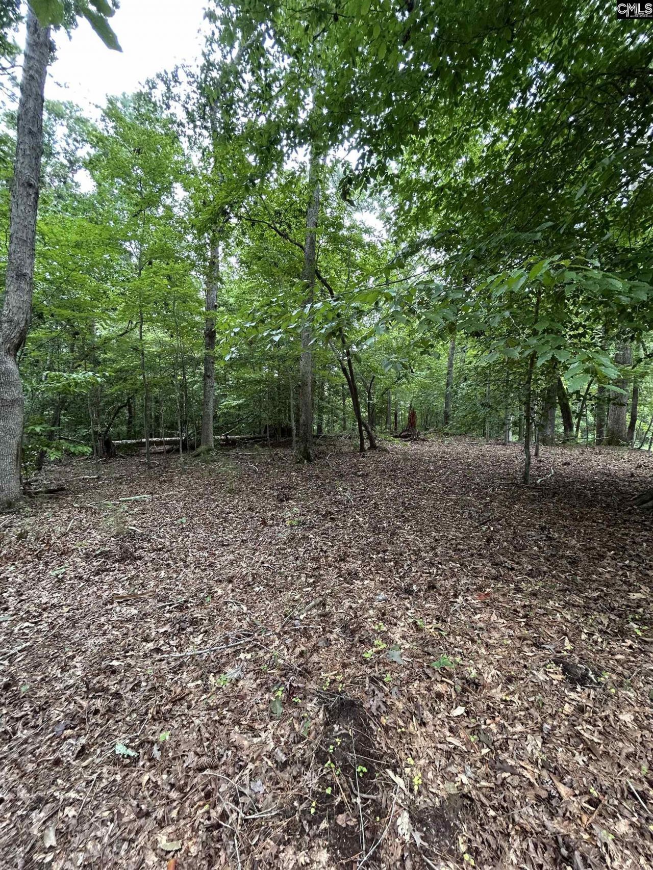 0 Pinewood Drive  Photo 6