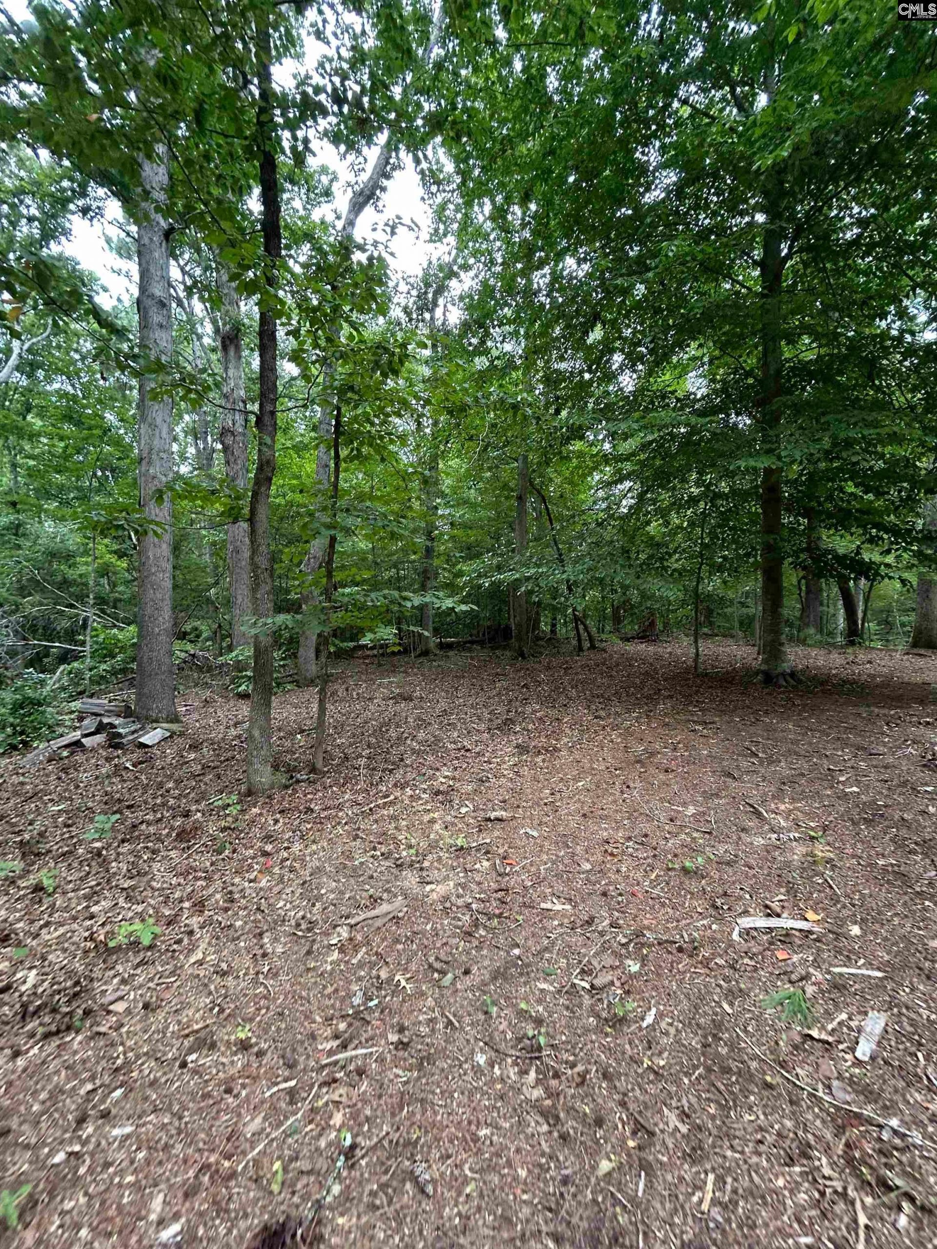 0 Pinewood Drive  Photo 7