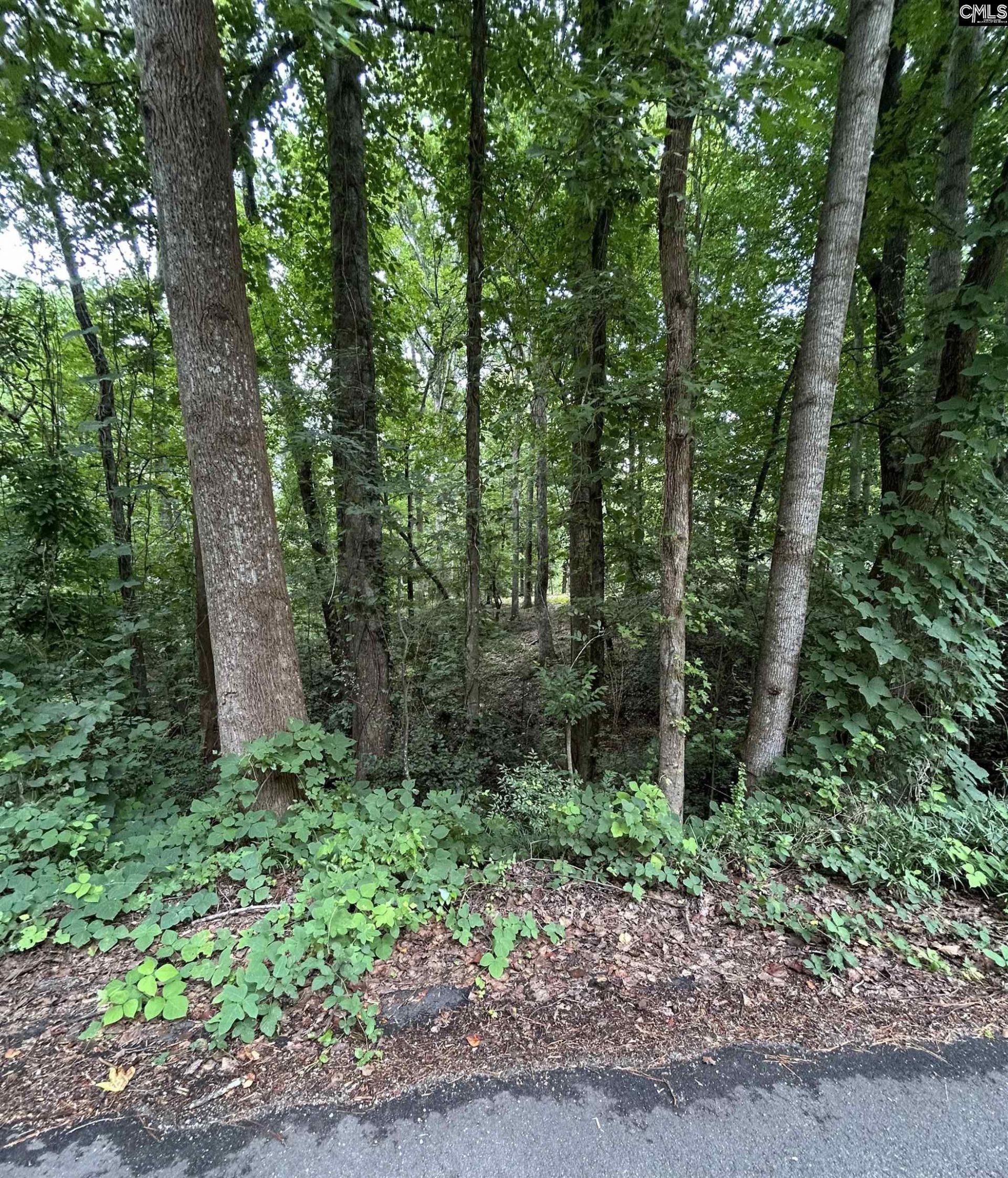 0 Pinewood Drive  Photo 8