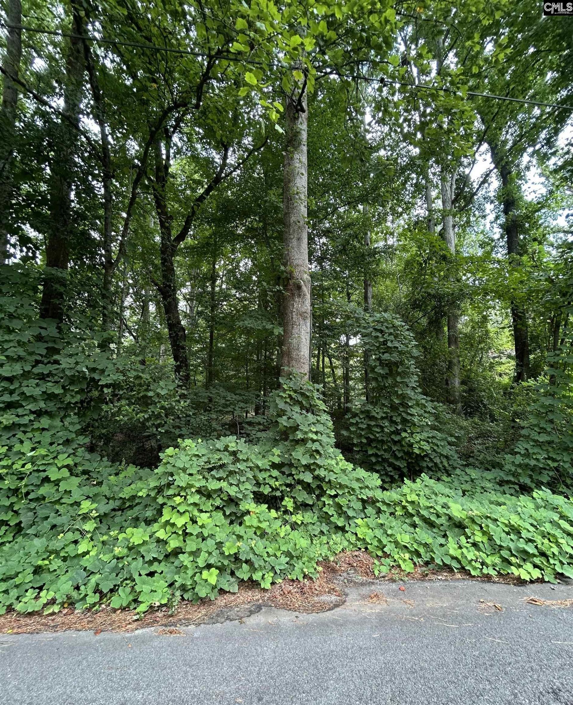 0 Pinewood Drive  Photo 9