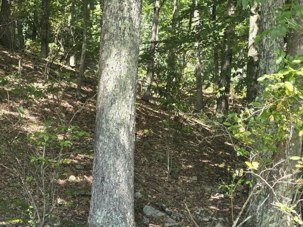 Lot 4 Renee Drive , Dingmans Ferry, PA 18328