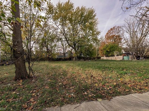 1246 E 102nd Street , Cleveland, OH 44108