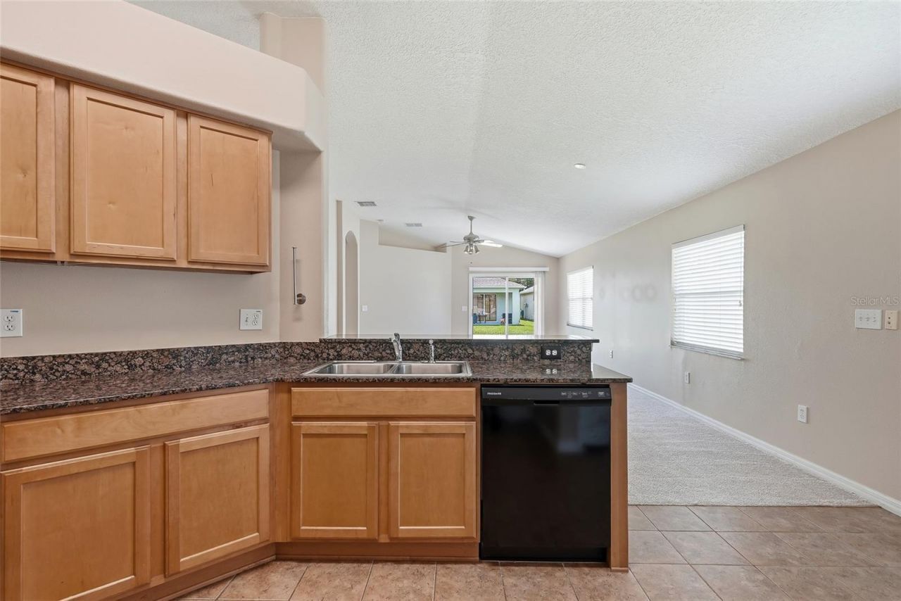 25928 Crippen Drive , Land O Lakes, FL 34639 Photo