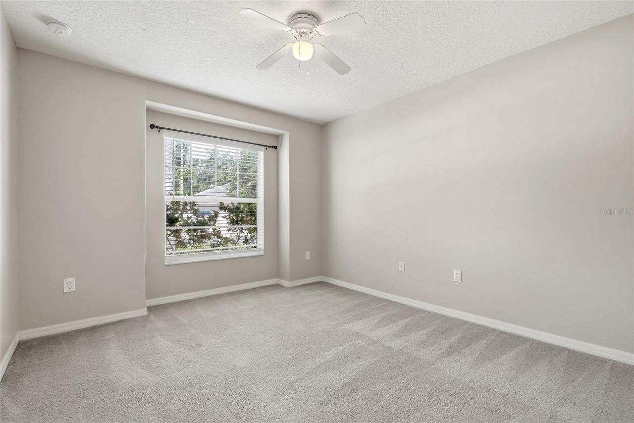 25928 Crippen Drive , Land O Lakes, FL 34639 Photo