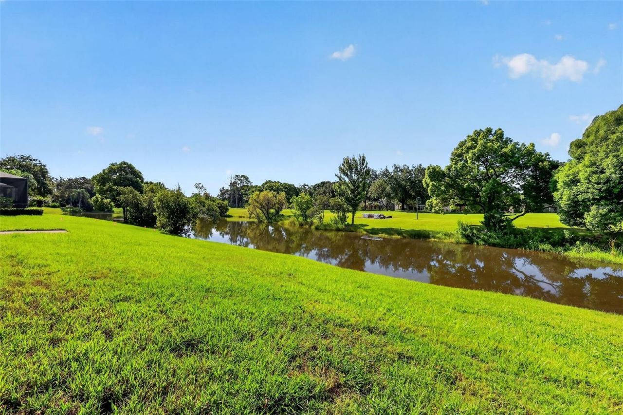 6022 Falconbridge Place , Mount Dora, FL 32757 Photo