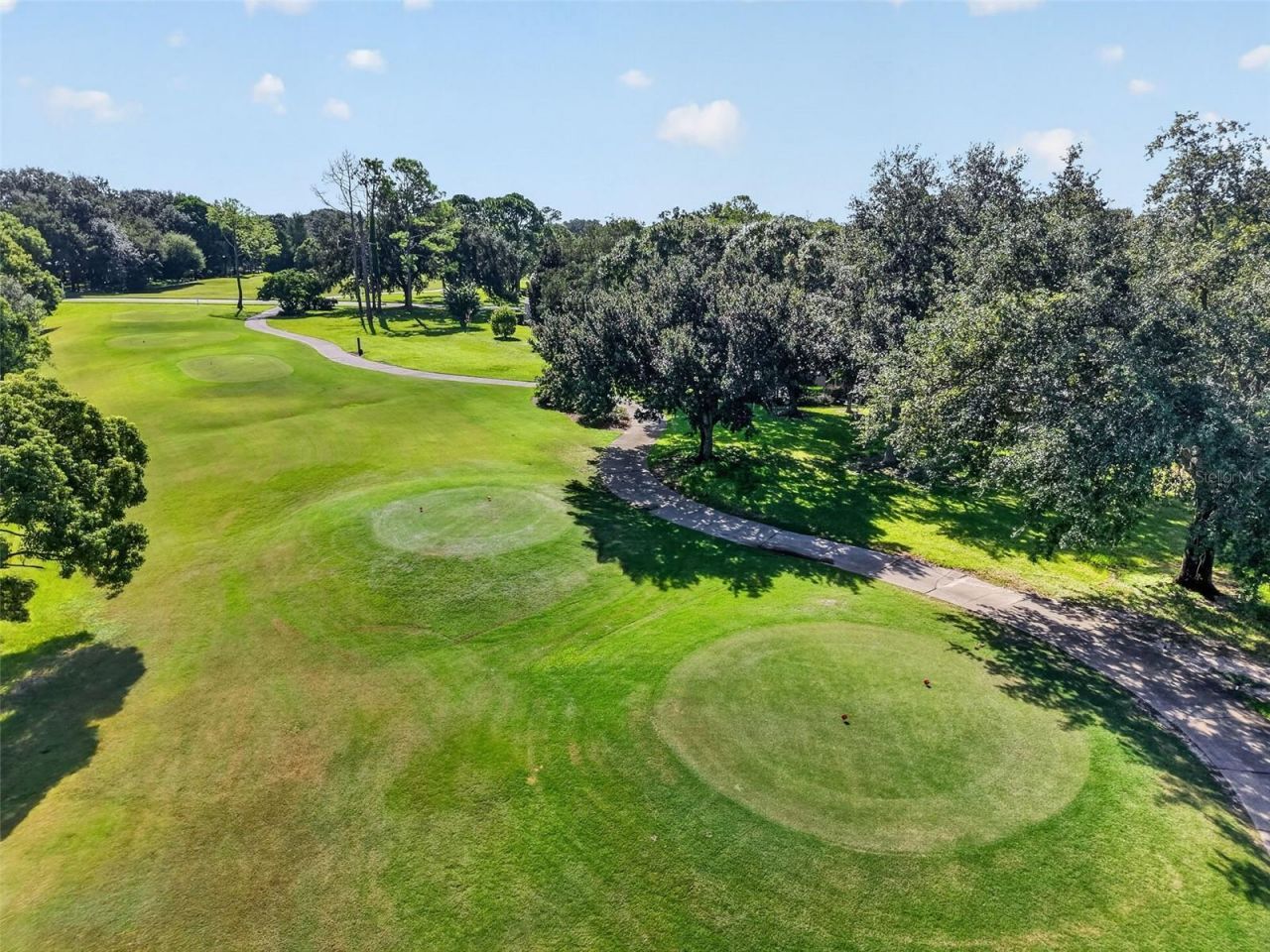 6022 Falconbridge Place , Mount Dora, FL 32757 Photo