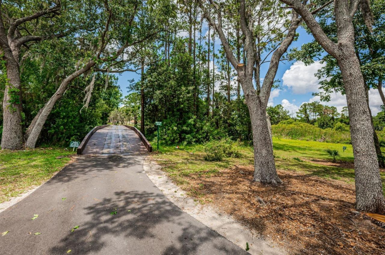 9423 Summerbreeze Terrace , New Port Richey, FL 34655 Photo