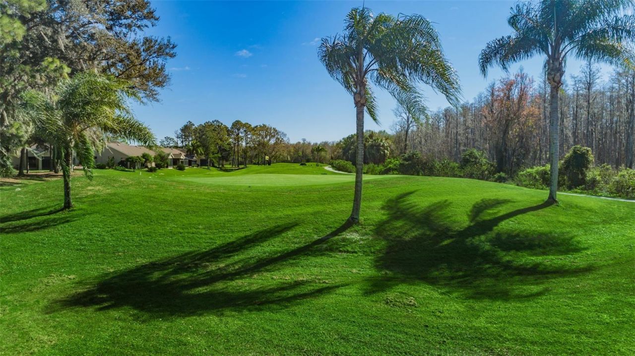 9423 Summerbreeze Terrace , New Port Richey, FL 34655 Photo