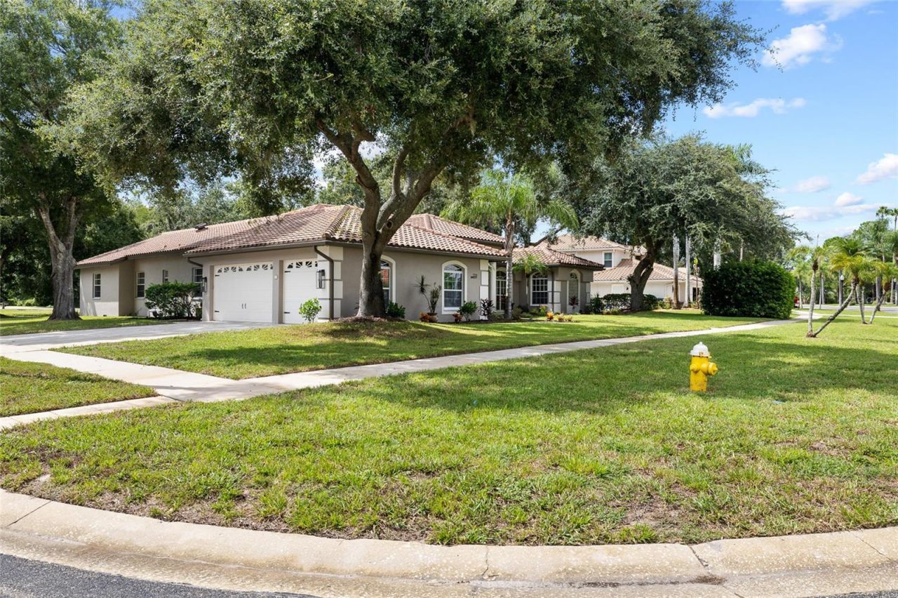 3351 Bristol Place, Tarpon Springs, FL 34688 Photo