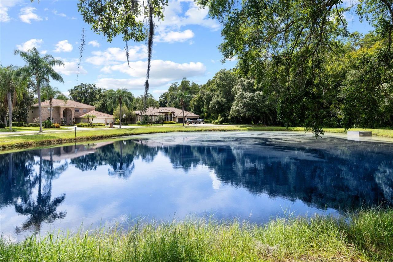 3351 Bristol Place, Tarpon Springs, FL 34688 Photo