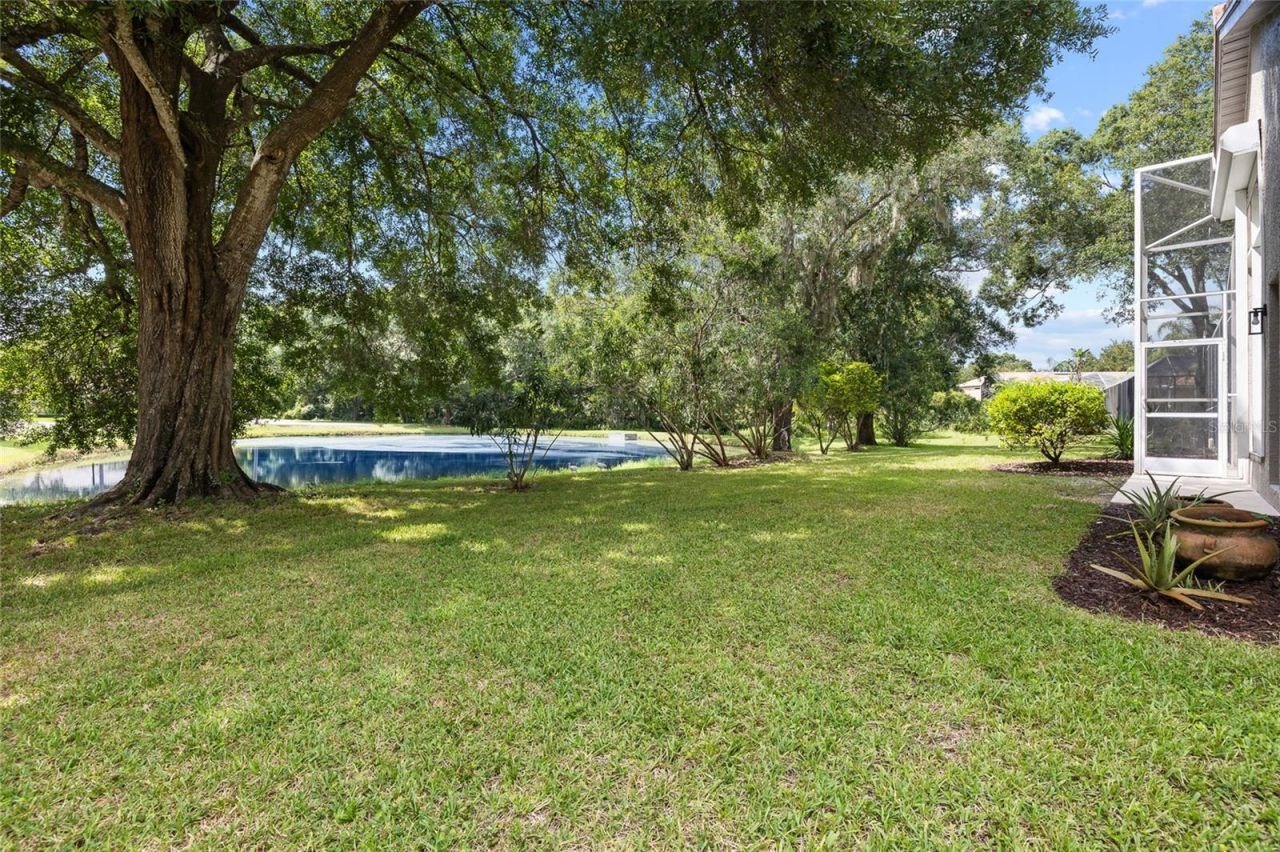 3351 Bristol Place, Tarpon Springs, FL 34688 Photo