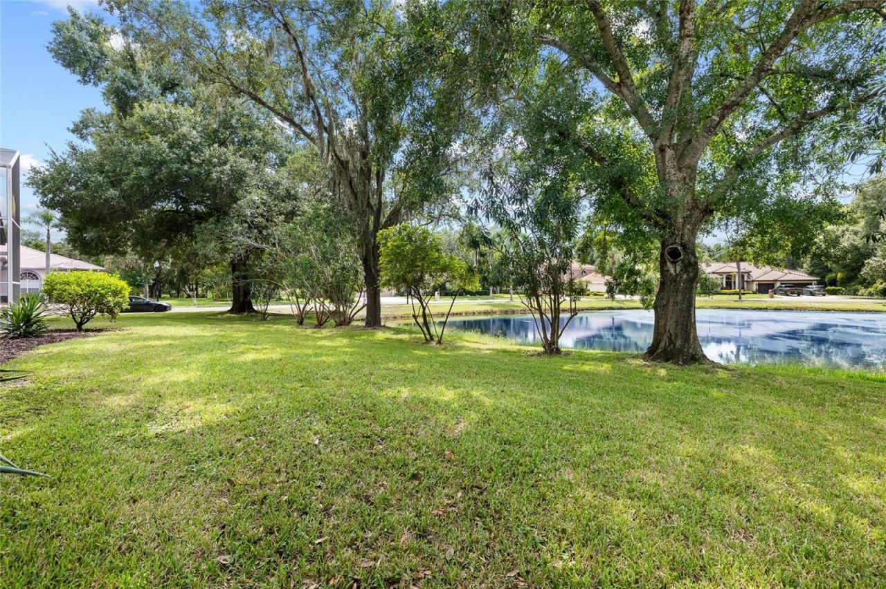 3351 Bristol Place, Tarpon Springs, FL 34688 Photo