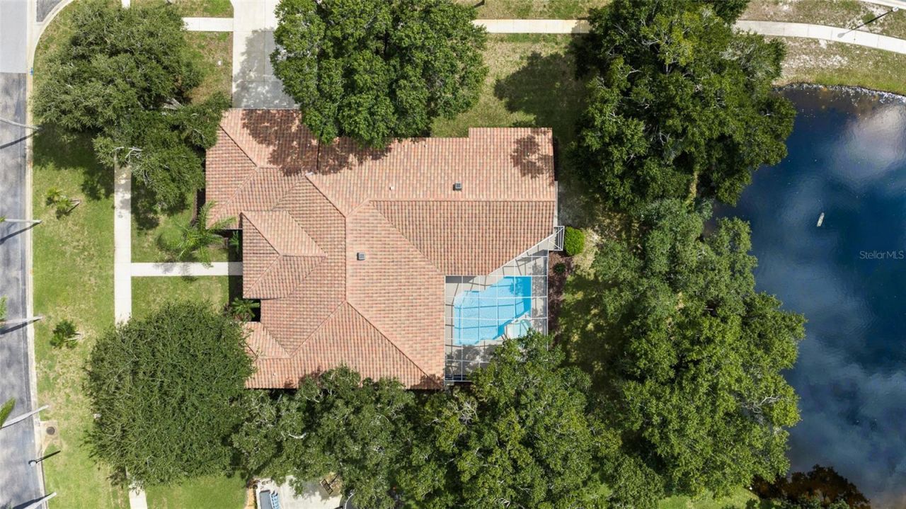 3351 Bristol Place, Tarpon Springs, FL 34688 Photo