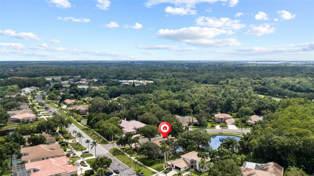 3351 Bristol Place, Tarpon Springs, FL 34688 Photo