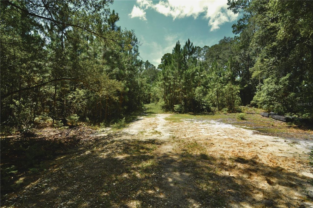 18709 NE Us Highway 301 , Waldo, FL 32694 Photo