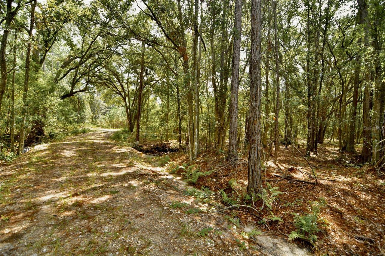 18709 NE Us Highway 301 , Waldo, FL 32694 Photo