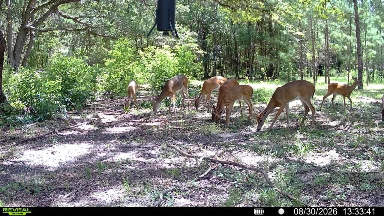 18709 NE Us Highway 301 , Waldo, FL 32694 Photo