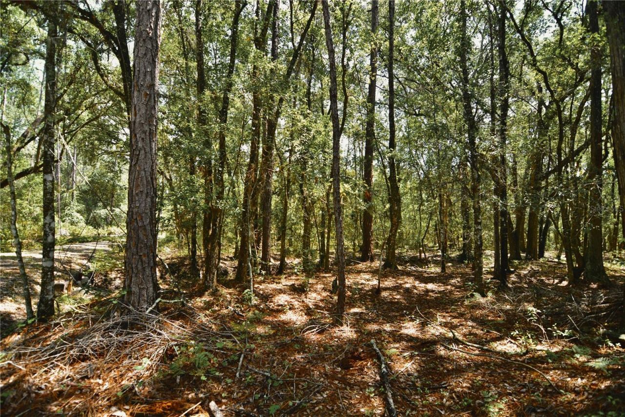 18709 NE Us Highway 301 , Waldo, FL 32694 Photo