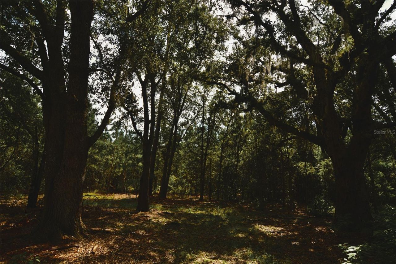18709 NE Us Highway 301 , Waldo, FL 32694 Photo