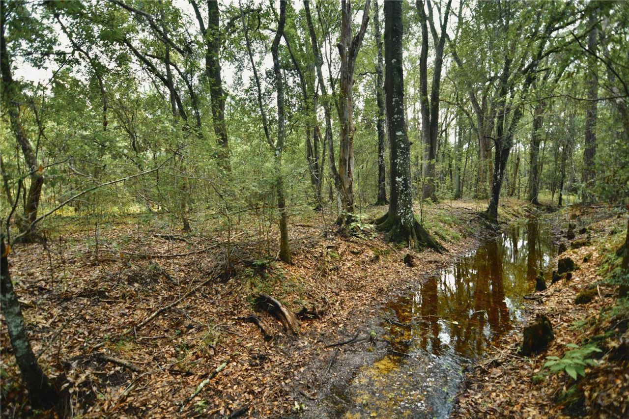 18709 NE Us Highway 301 , Waldo, FL 32694 Photo