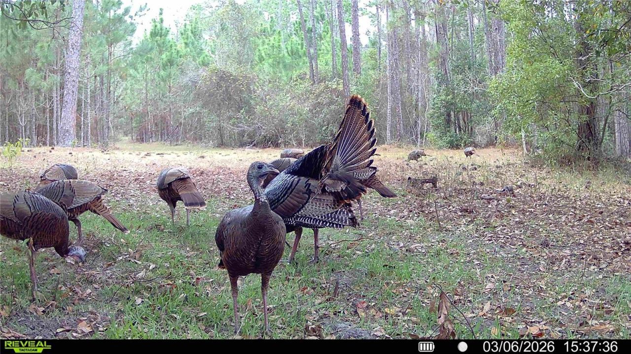 18709 NE Us Highway 301 , Waldo, FL 32694 Photo