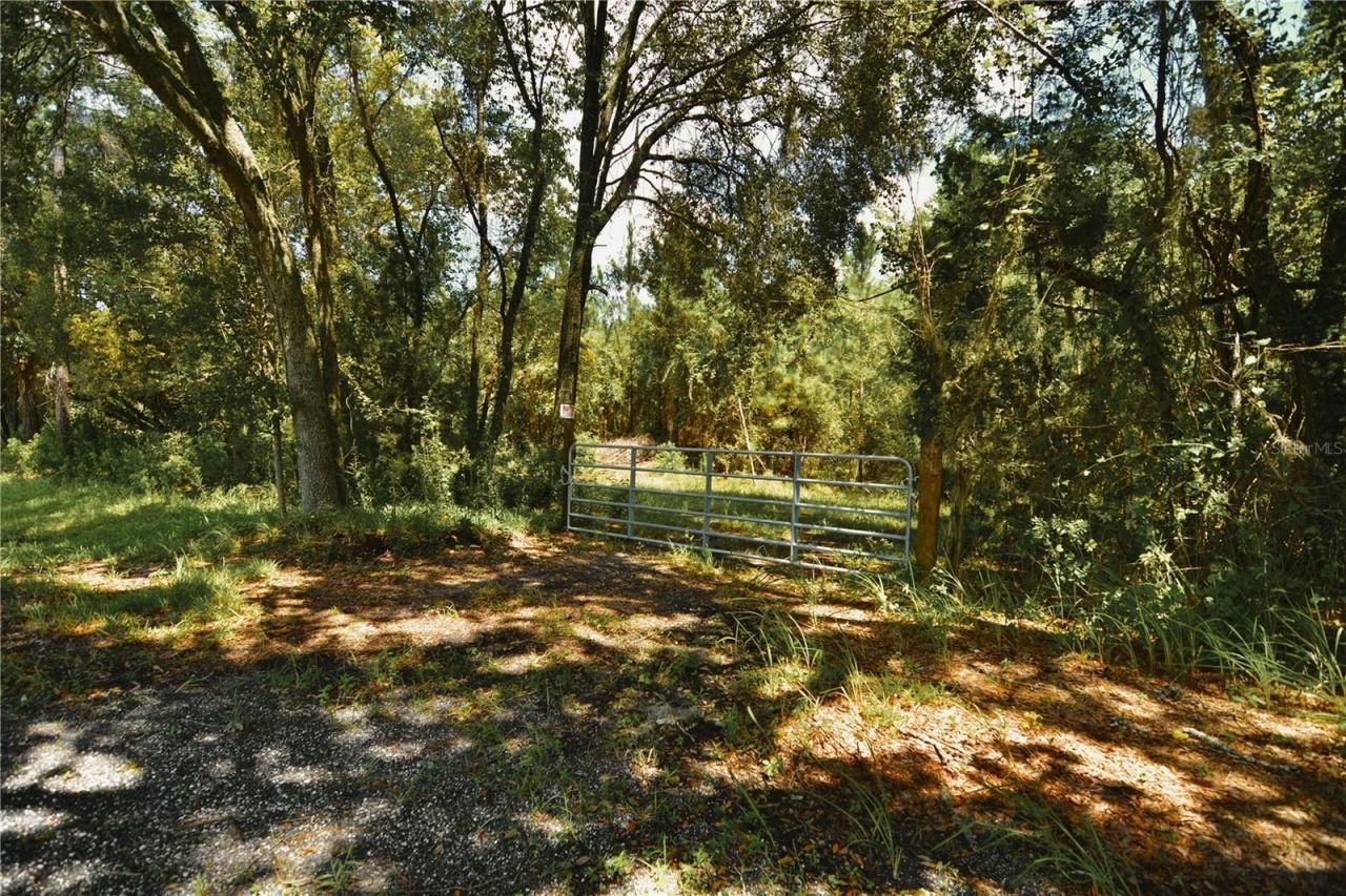 18709 NE Us Highway 301 , Waldo, FL 32694 Photo
