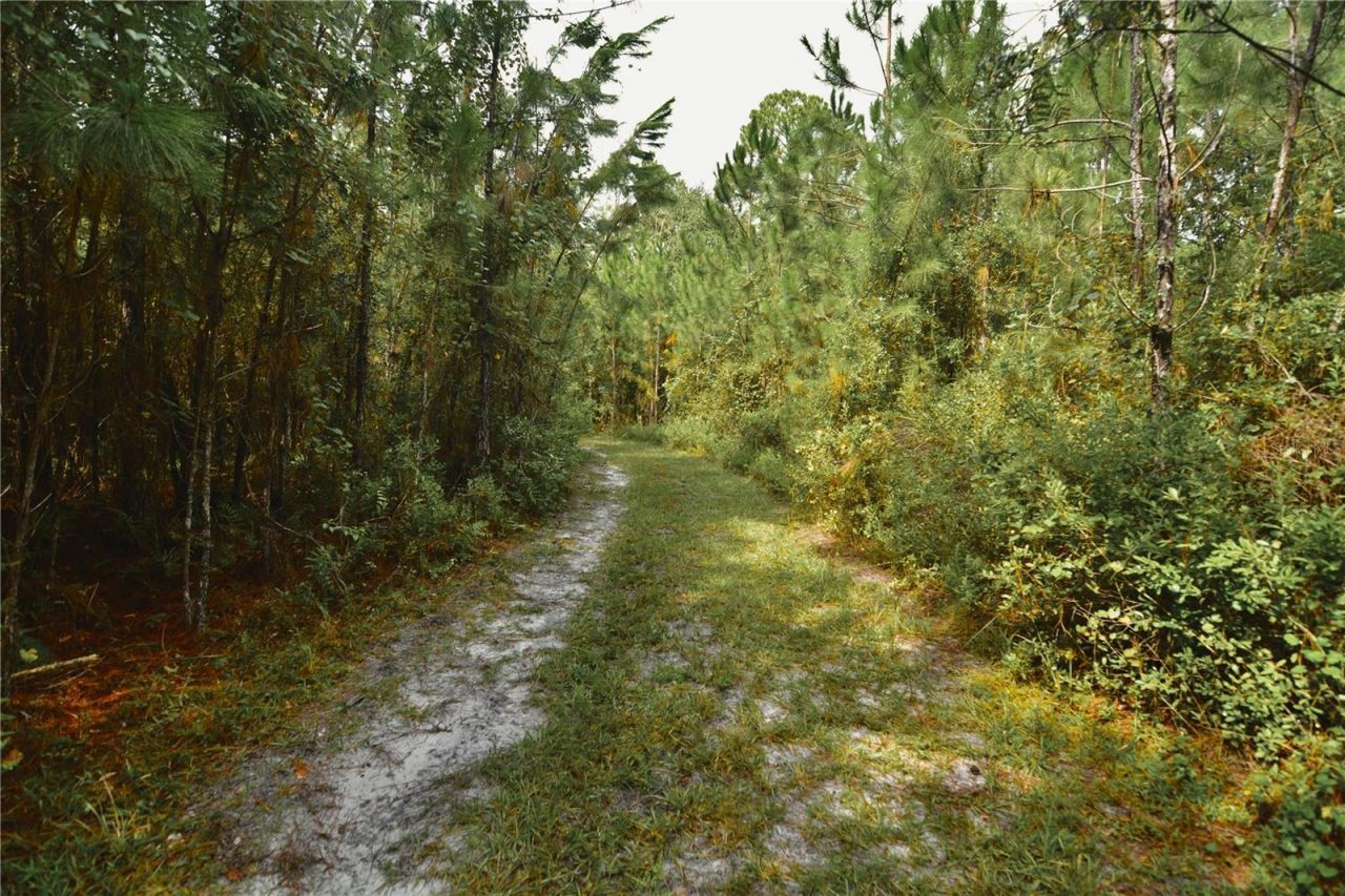 18709 NE Us Highway 301 , Waldo, FL 32694 Photo