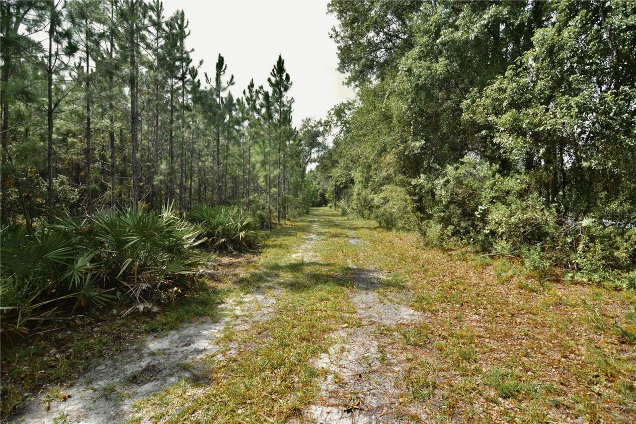 18709 NE Us Highway 301 , Waldo, FL 32694 Photo