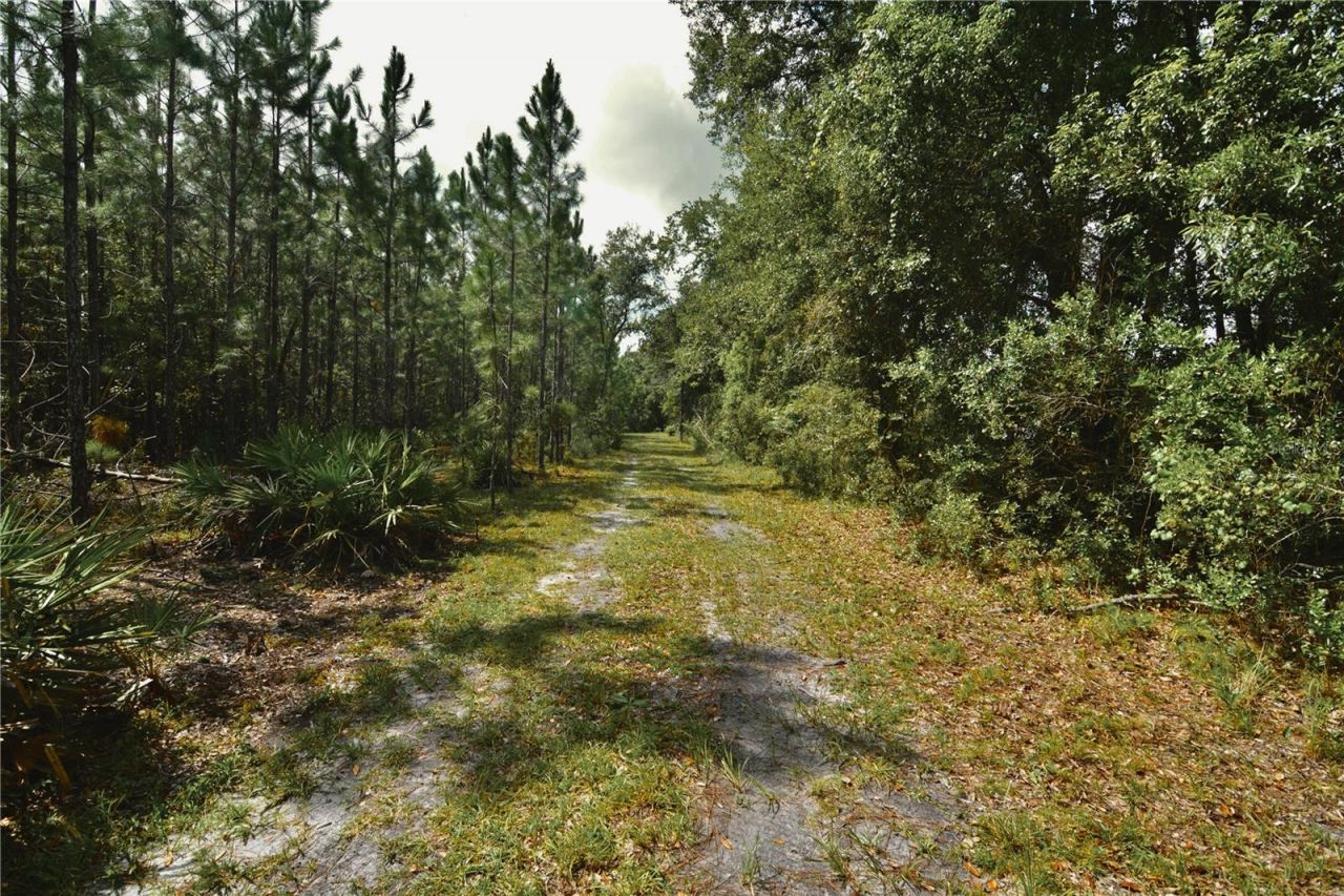 18709 NE Us Highway 301 , Waldo, FL 32694 Photo