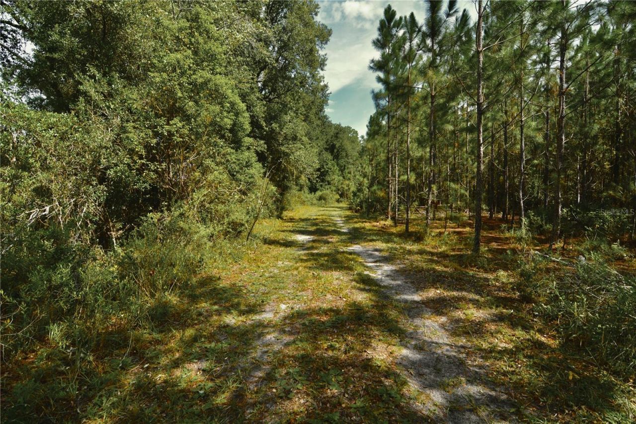 18709 NE Us Highway 301 , Waldo, FL 32694 Photo