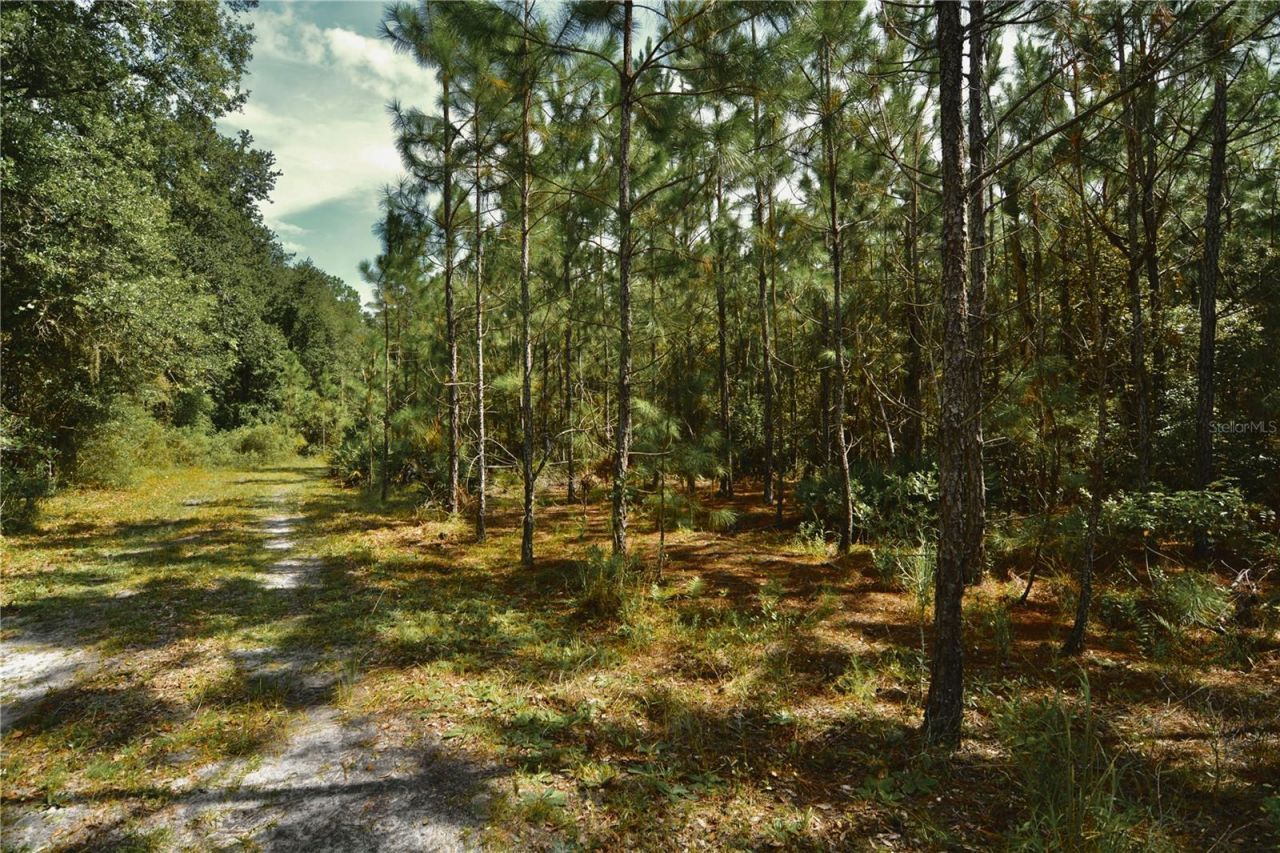 18709 NE Us Highway 301 , Waldo, FL 32694 Photo