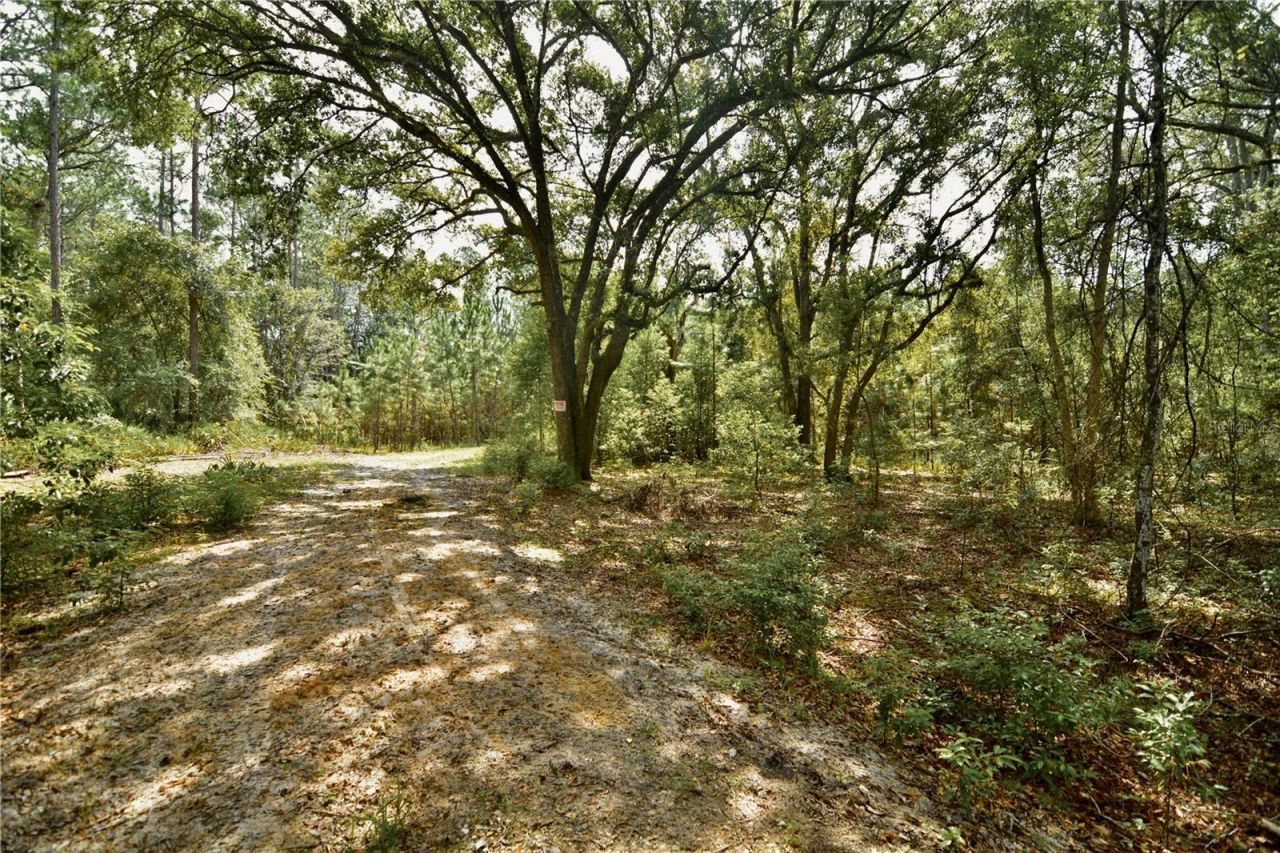 18709 NE Us Highway 301 , Waldo, FL 32694 Photo