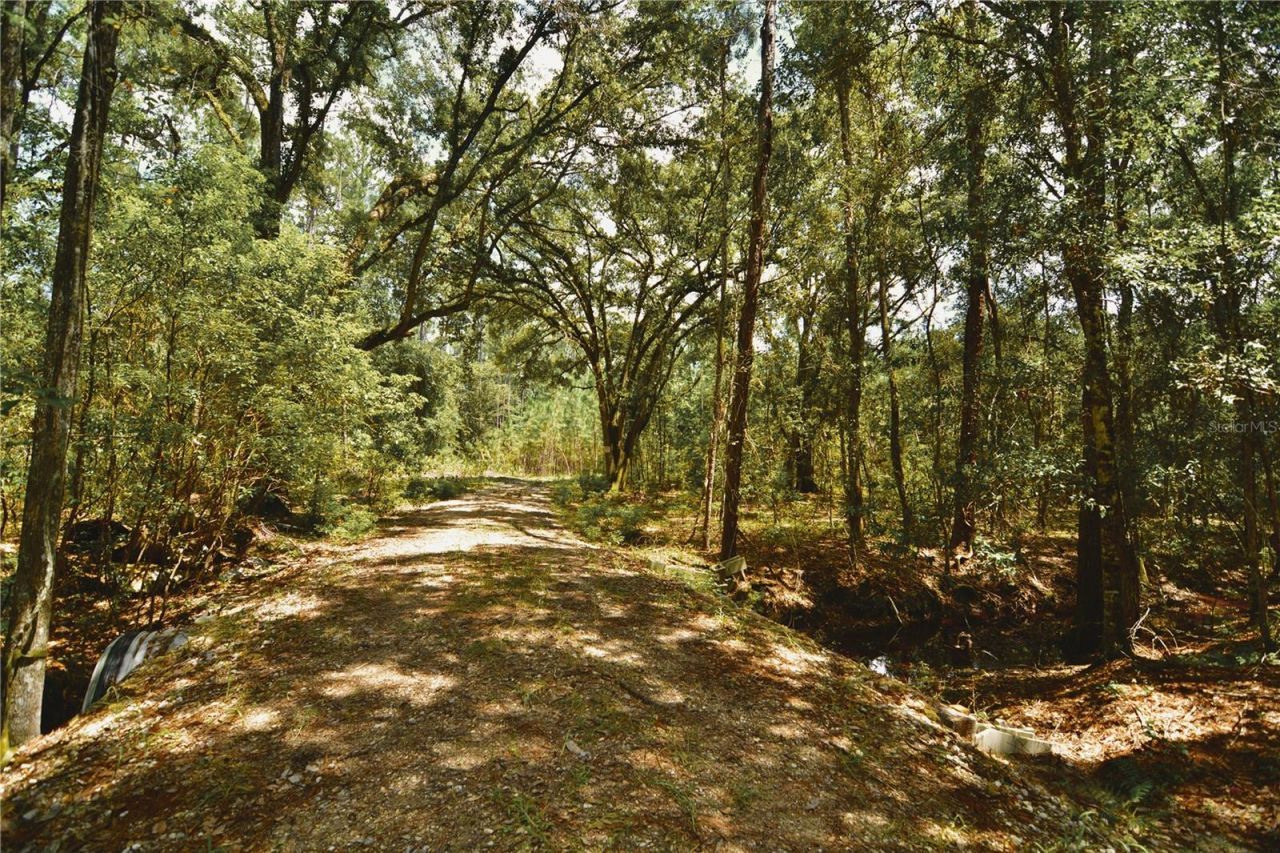 18709 NE Us Highway 301 , Waldo, FL 32694 Photo