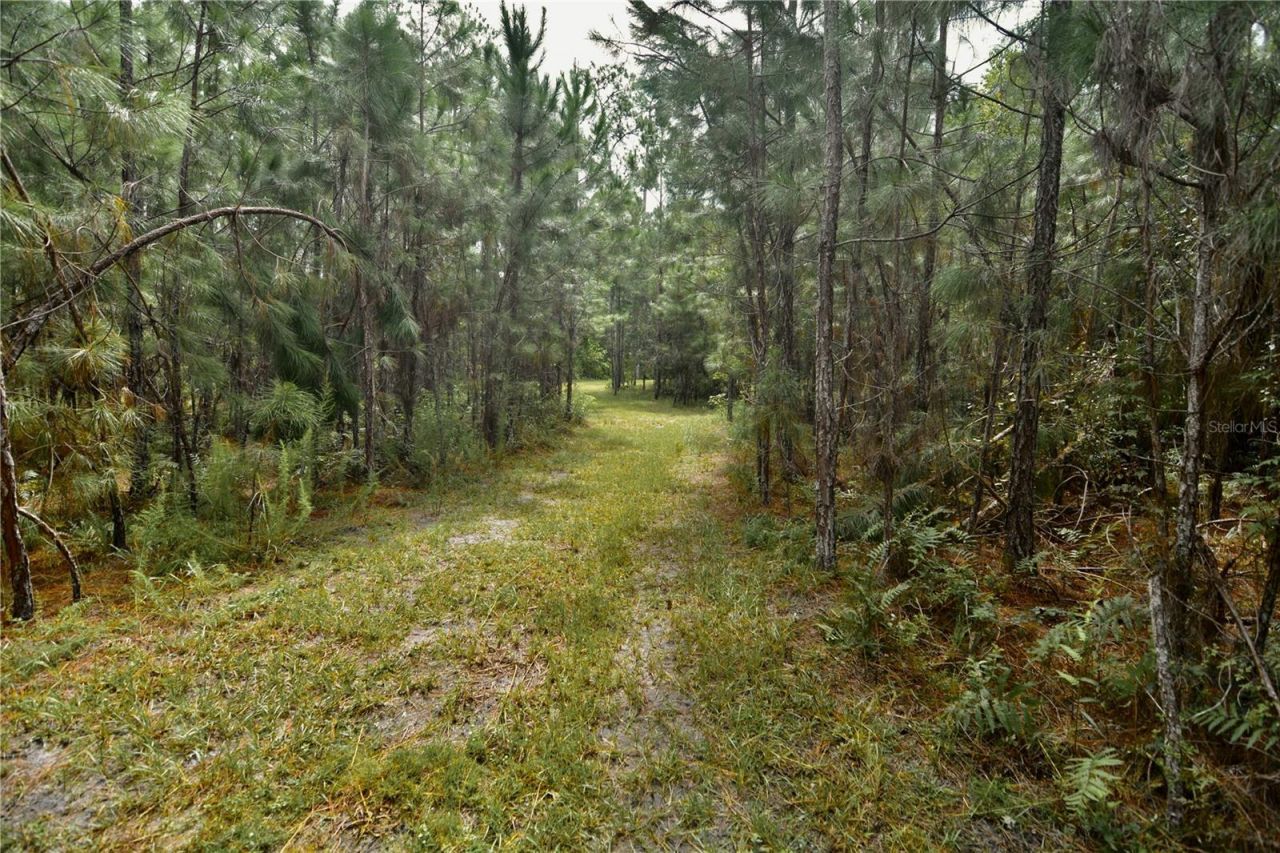 18709 NE Us Highway 301 , Waldo, FL 32694 Photo