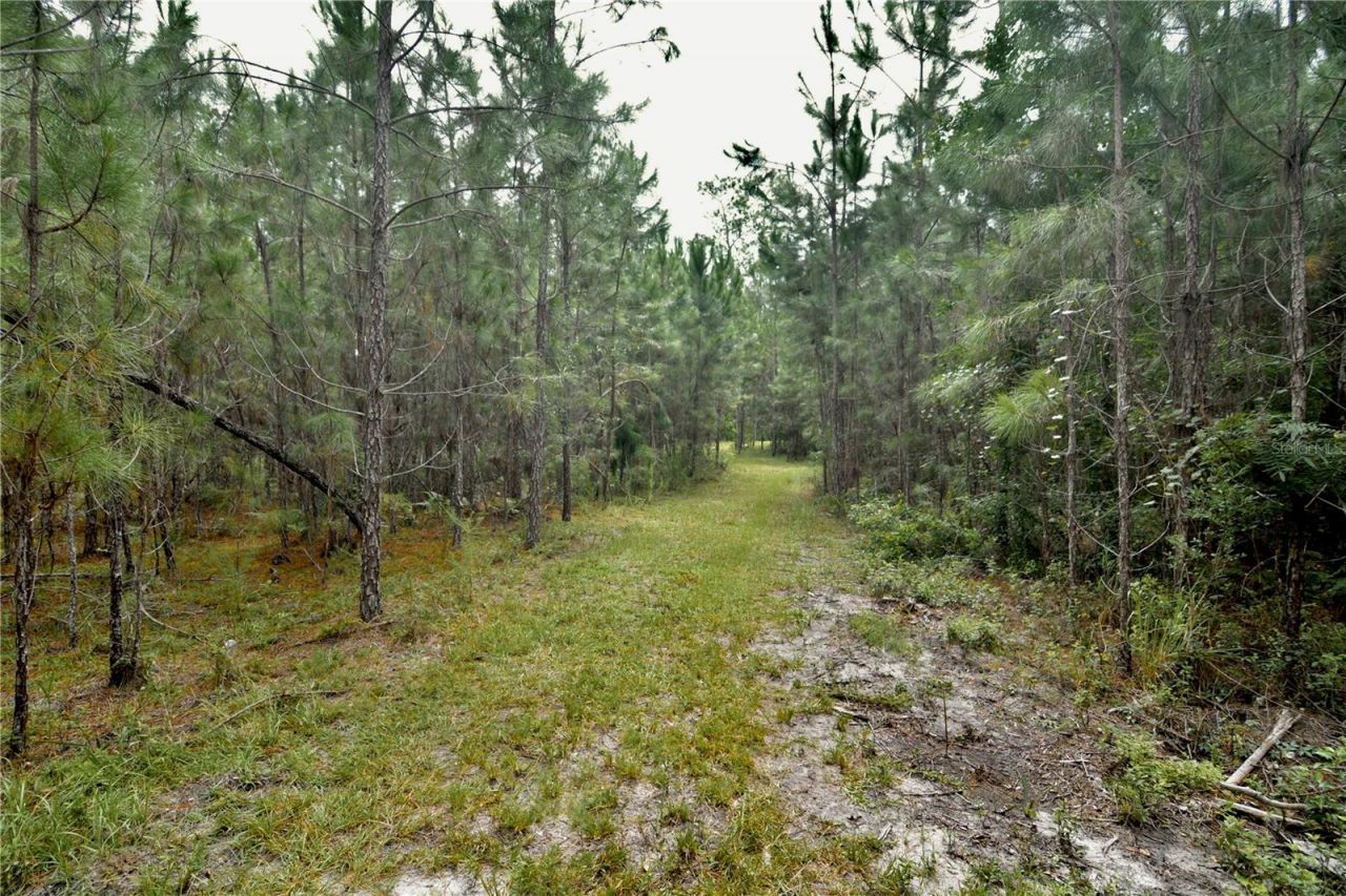 18709 NE Us Highway 301 , Waldo, FL 32694 Photo