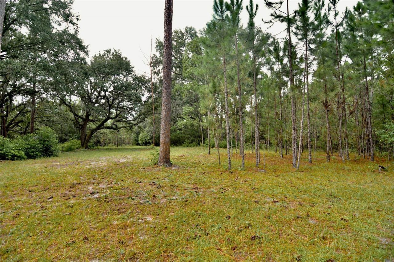 18709 NE Us Highway 301 , Waldo, FL 32694 Photo