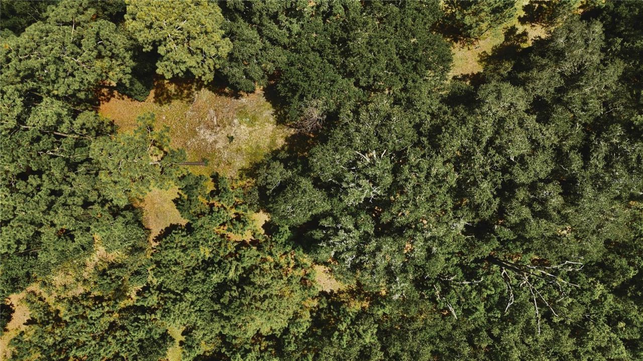 18709 NE Us Highway 301 , Waldo, FL 32694 Photo