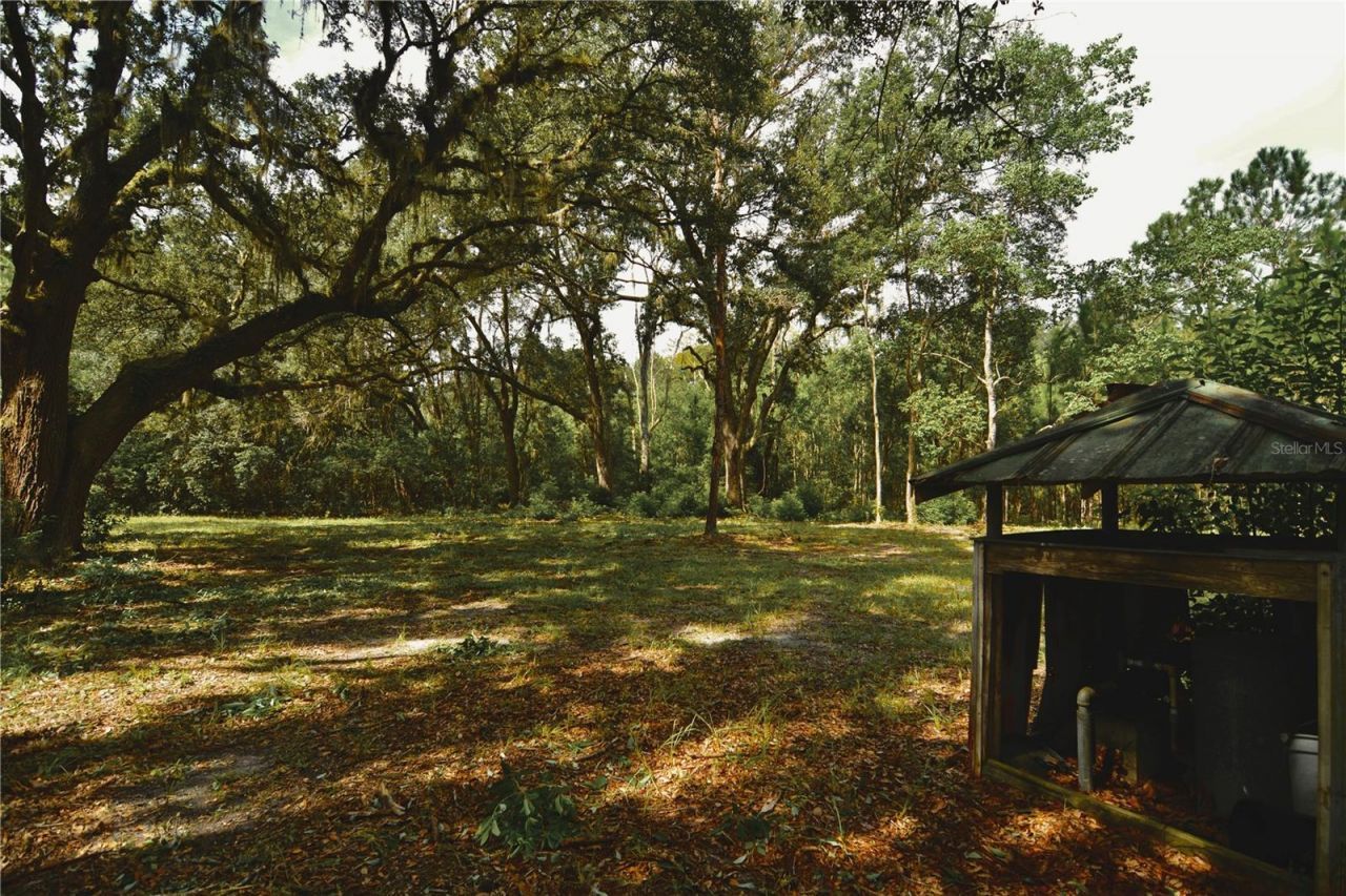 18709 NE Us Highway 301 , Waldo, FL 32694 Photo