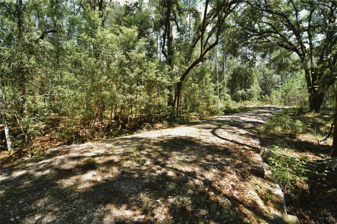 18709 NE Us Highway 301 , Waldo, FL 32694 Photo