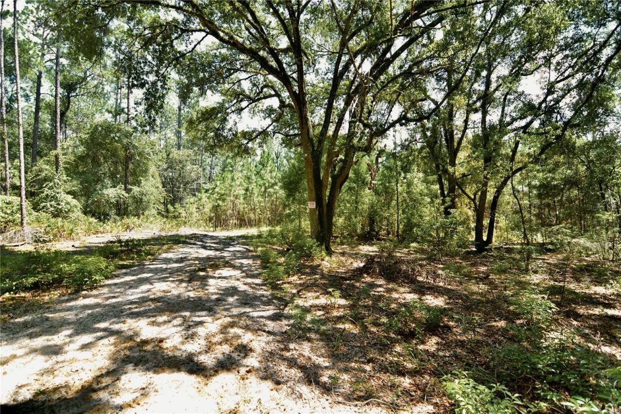 18709 NE Us Highway 301 , Waldo, FL 32694 Photo