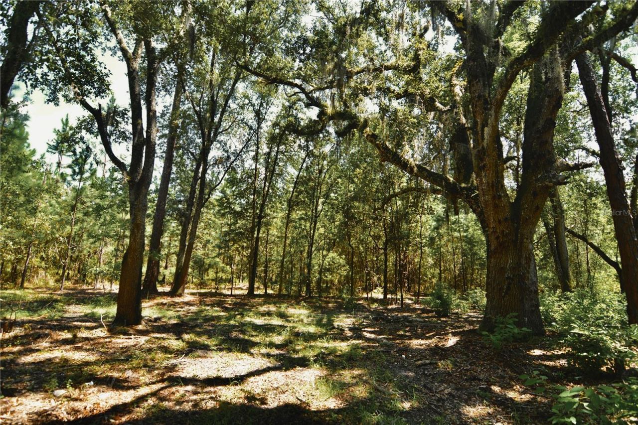 18709 NE Us Highway 301 , Waldo, FL 32694 Photo