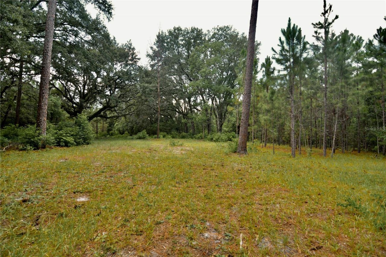 18709 NE Us Highway 301 , Waldo, FL 32694 Photo