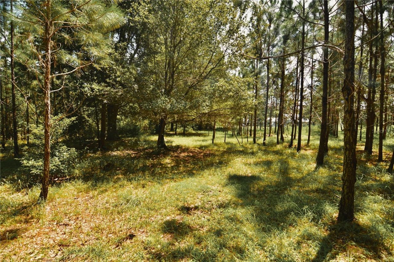 18709 NE Us Highway 301 , Waldo, FL 32694 Photo